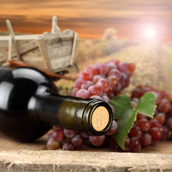 Südafrikanischer Wein Südafrikanischer Wein