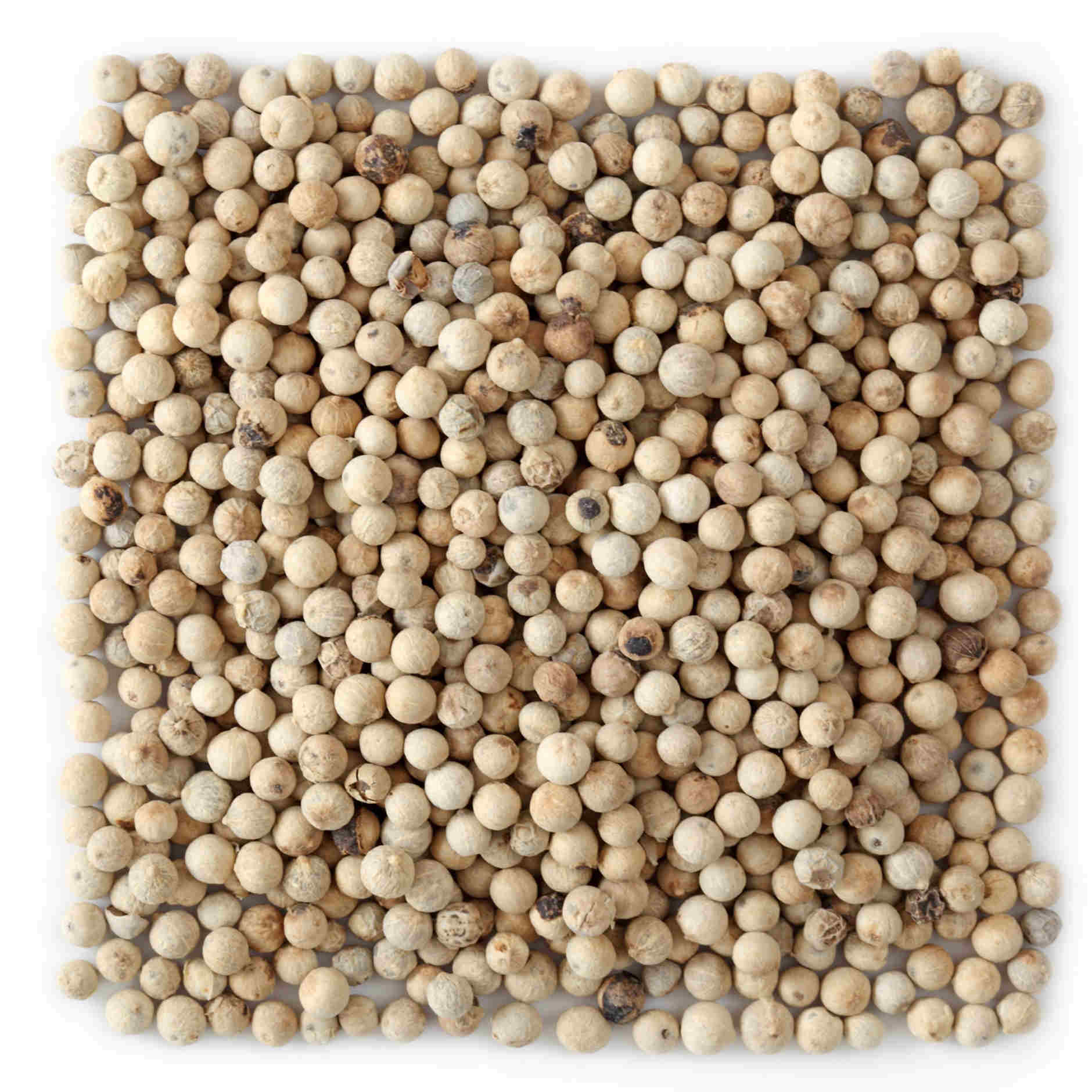 Weißer Pfeffer